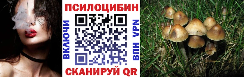 Псилоцибиновые грибы Psilocybe  Купить где  Калязин 